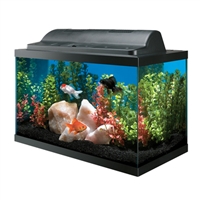 AQUEON 10 GALLON BASIC AQUARIUM KIT