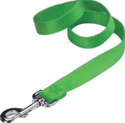 CLASSIC NYLON LEASH 5/8X6 LIME