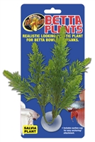 BETTA PLANT SALVIA