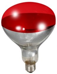 LITTLE GIANT 170024 RED HEAT BULB FOR BROODER LAMP, 250W