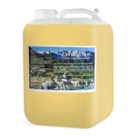 CCI EnviroStrip Emulsion Remover - 5 Gallon