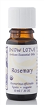 Snow Lotus - Rosemary - 10 ml
