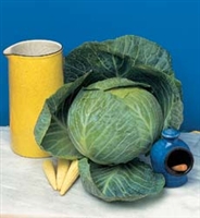 Cabbage