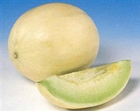 Honeydew Melon