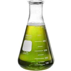 <center>Erlenmeyer Flask</center>