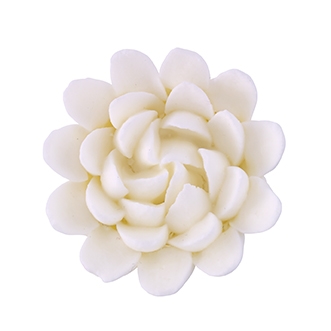 Chrysanthemum - Med-Lg - White