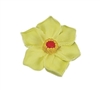 Medium Daffodil - Assorted Colors