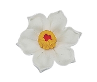 Medium Daffodil - White with Yellow