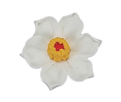 Large Daffodil - White with Yellow