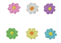 Flat Daisy Assortment - Small