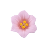 Med-Lg Easter Lily - Pink