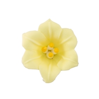 Med-Lg Easter Lily - Yellow