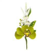 Australian Cymbidium Hyacinth Spray - Apple Green