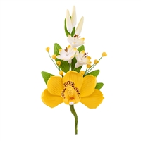 Australian Cymbidium Hyacinth Spray - Yellow