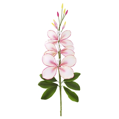 Gaura Orchid Spray - White With Pink Shading