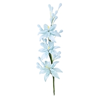 Tuberose Spray - Blue