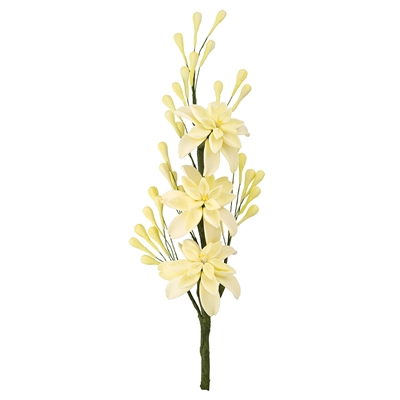 Tuberose Spray - Yellow