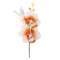 Butterfly Orchid Spray - Orange