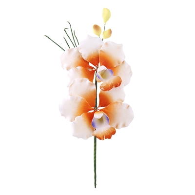 Butterfly Orchid Spray - Orange