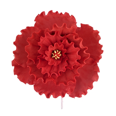 Chinese Double Rose - Red