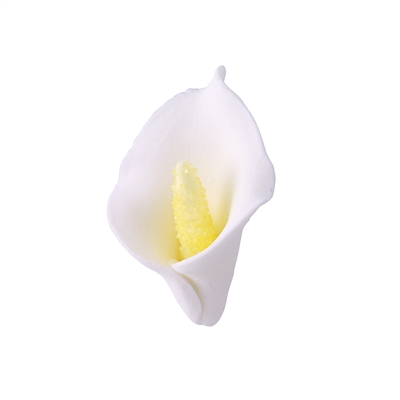 Small Calla Lily