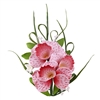 Cymbidium Orchid Spray - Light And Dark Pink