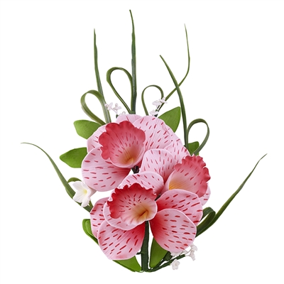 Cymbidium Orchid Spray - Light And Dark Pink