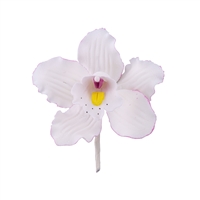 Medium Cymbidium Orchid Blossom - White With Lavender