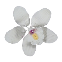 Large Cymbidium Orchid Blossom - White With Lavender