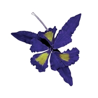 Large Dutch Iris - Violet Blue
