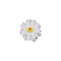 Medium Gerbera Daisy - White