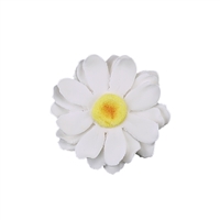 Large Gerbera Daisy - White