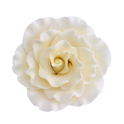 XXL Gum Paste Formal Rose - Ivory