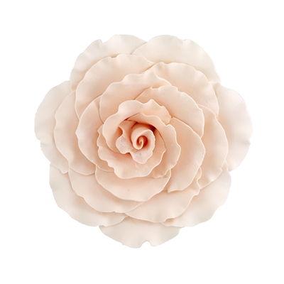 Jumbo Gum Paste Formal Rose - Peach