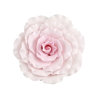 Jumbo Gum Paste Formal Rose - Pink