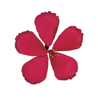 Gum Paste Hibiscus - Red
