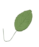 Gum Paste Large Rose Leaf On A Wire - Leaf Green