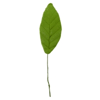 Gum Paste XL Leaf - Moss Green