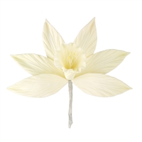Gum Paste Narcissus - All Yellow
