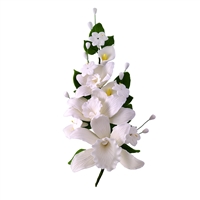 Medium Cattleya Orchid Spray