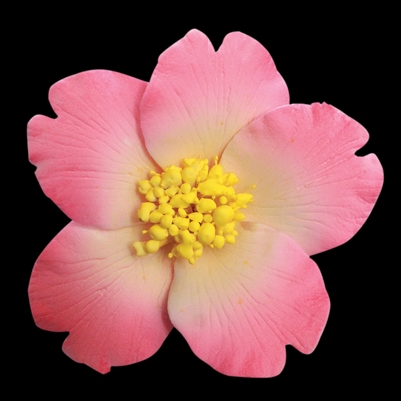 Medium Gum Paste Camellia Blossom - Pink With Yellow Stamens