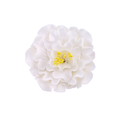 Large Gum Paste Peony Blossom - White With Yellow Stamens