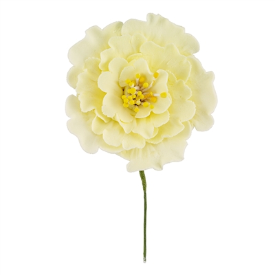 Large Gum Paste Peony Blossom - All Yellow