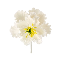 XL Gum Paste Peony Blossom - White With Yellow And Green Center