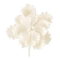 XXL Gum Paste Peony Blossom - All White