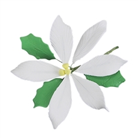 Large Gum Paste Poinsettia - White