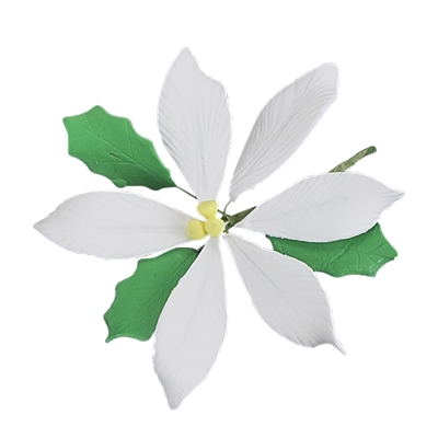 Large Gum Paste Poinsettia - White