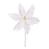 Gum Paste Tuberose Blossom - White