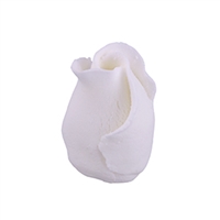 Gum Paste Rosebud - White