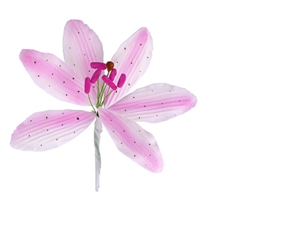 Medium Gum Paste Rubrum Lily - Light Pink